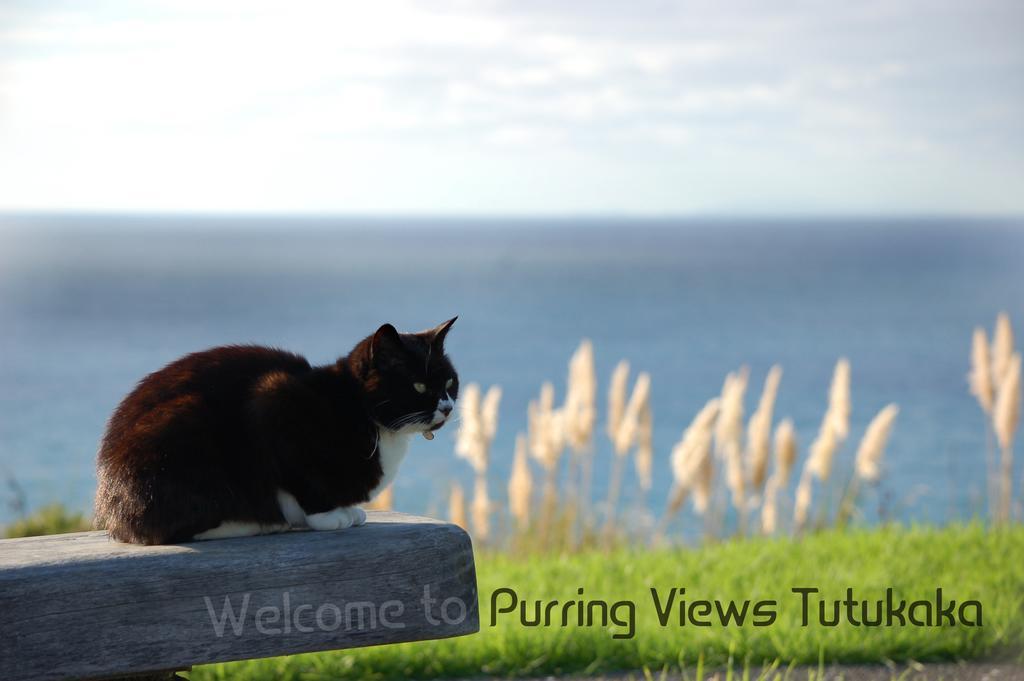 فندق Ocean Purring Views توتوكاكا المظهر الخارجي الصورة
